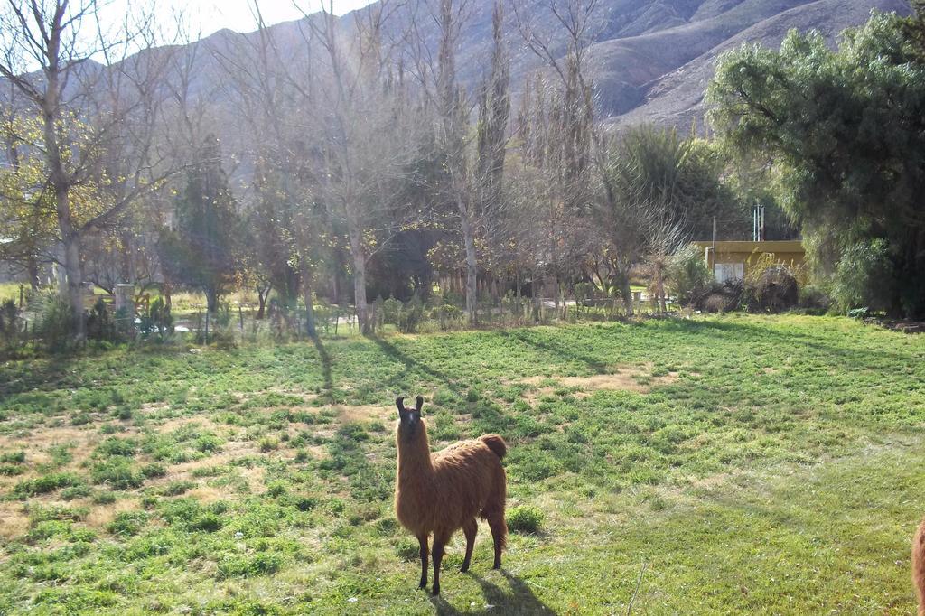 Posada Inti Tanpu Tilcara Εξωτερικό φωτογραφία